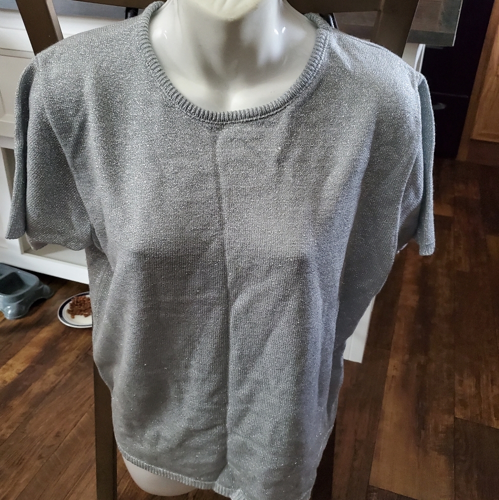 Large Silver Shimmer Top